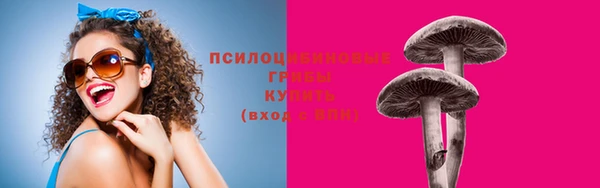спайс Корсаков
