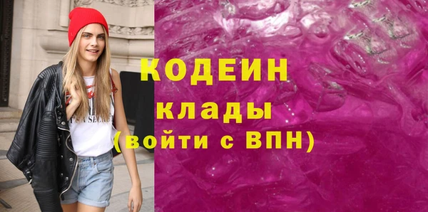 спайс Корсаков