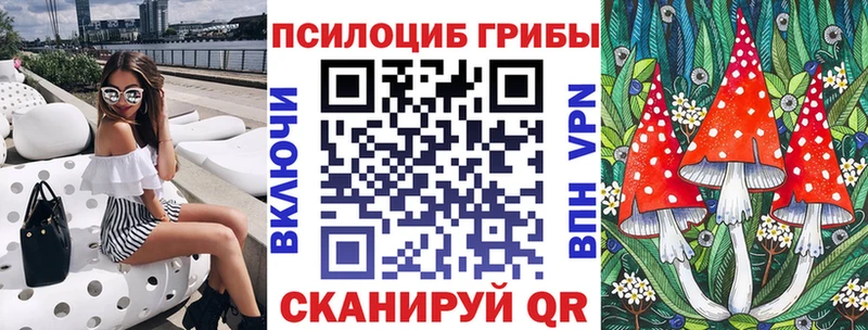 Купить закладки  Любим  Галлюциногенные грибы Cubensis 