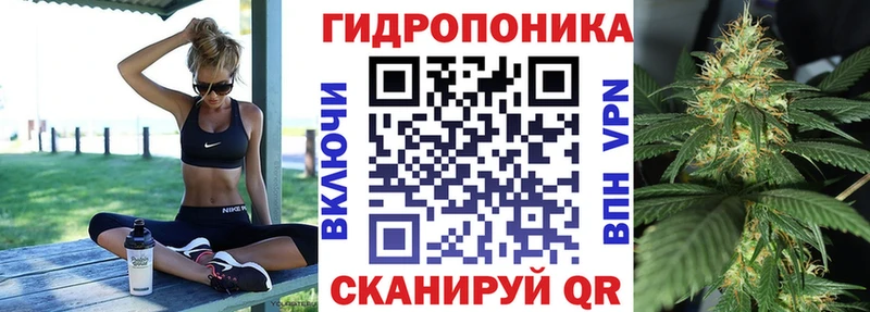 Каннабис сатива Любим